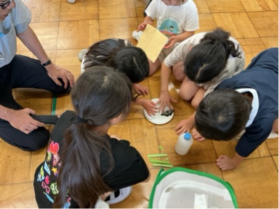 3年生 チョウの学習